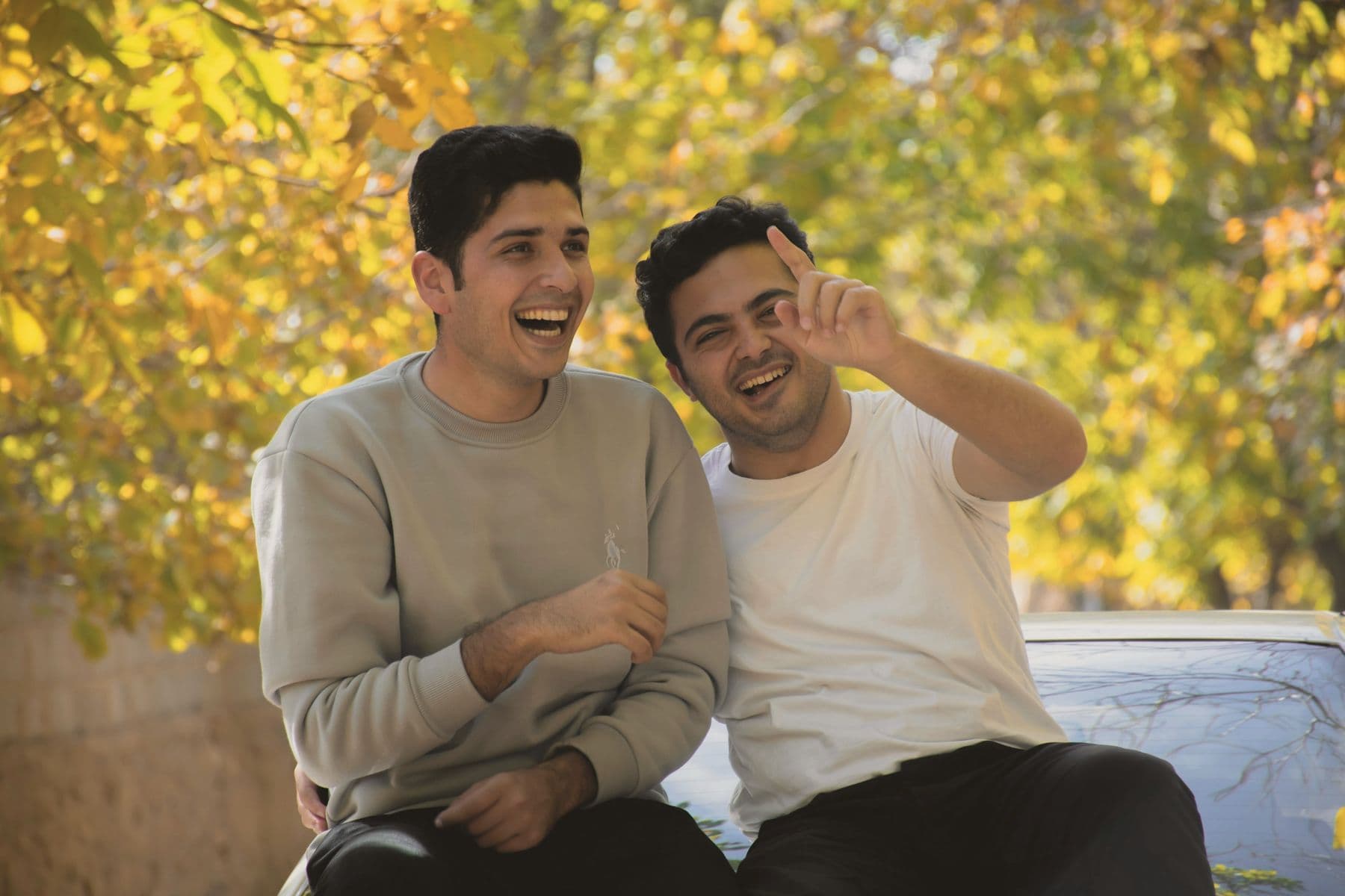 Two friends laughing together under autumn trees