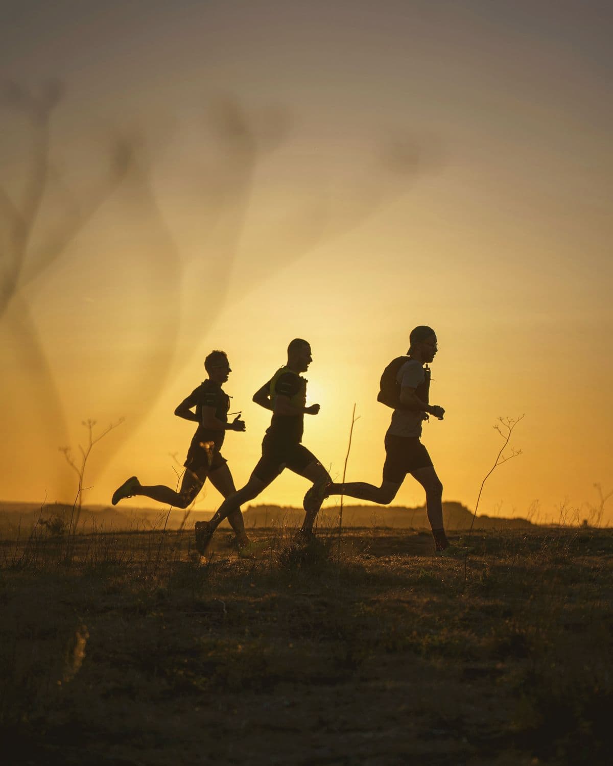 Three runners silhouetted against a sunset